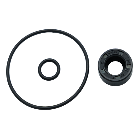 Packningssats sjövattenpump 2YM, 3YM